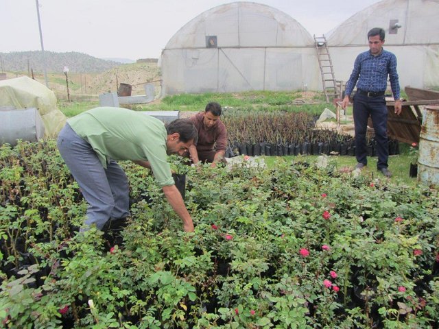 اقتصاد گردان