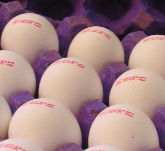 اقتصاد گردان اقتصاد گردان