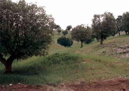اقتصاد گردان اقتصاد گردان