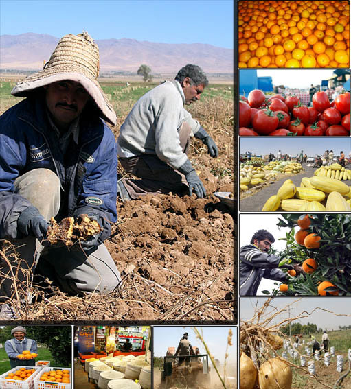 اقتصاد گردان اقتصاد گردان