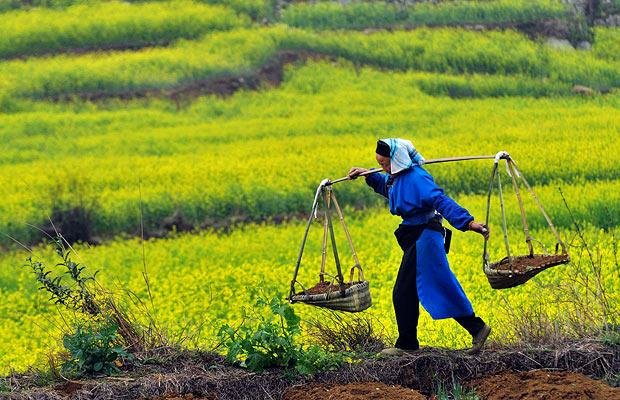 اقتصاد گردان