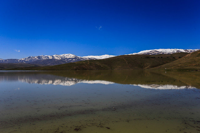 اقتصاد گردان
