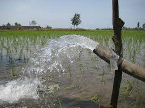اقتصاد گردان