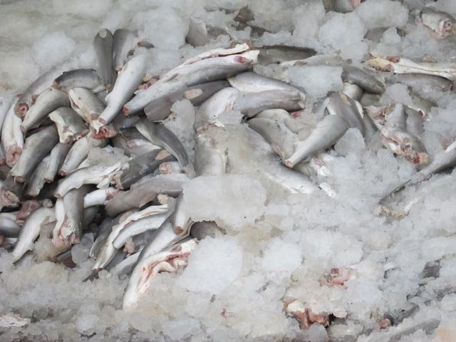 اقتصاد گردان