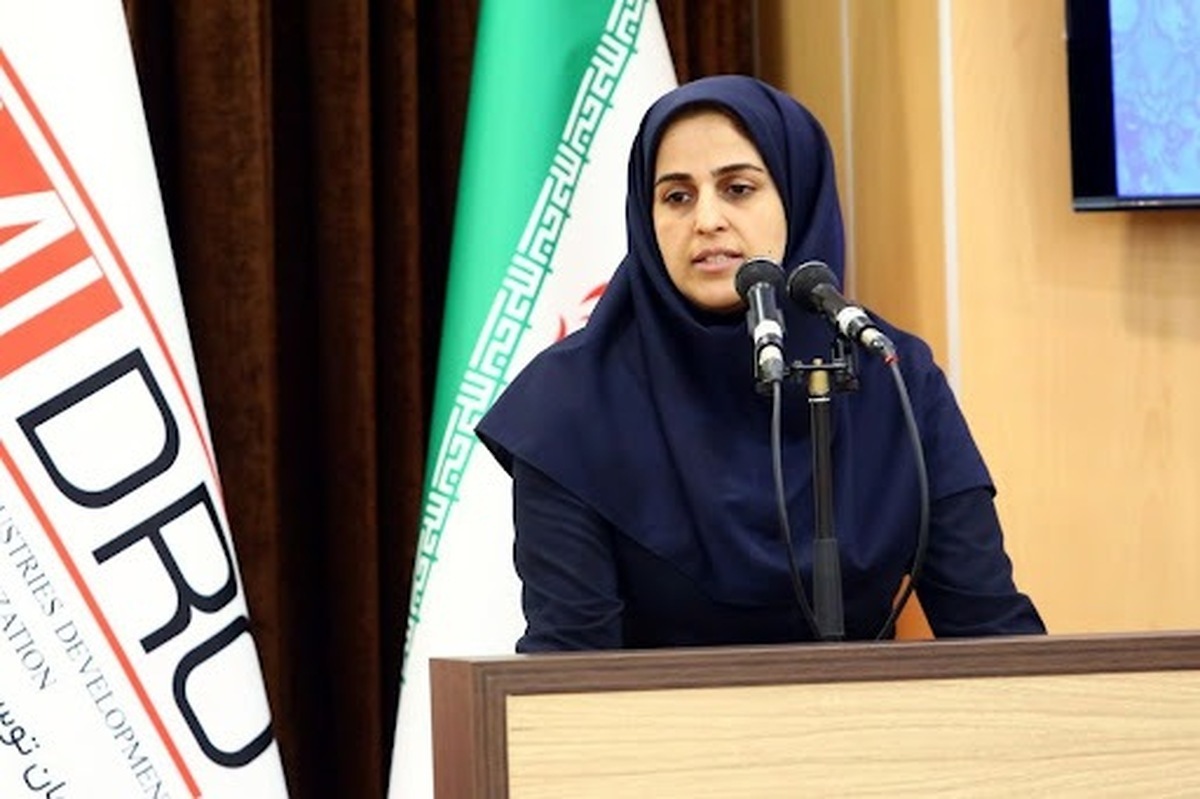تامین مالی پروژه های معدنی و فولادی استان ها با چهار روش در سال جاری پیگیری می شود