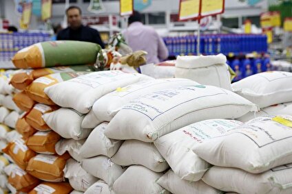  برنج وارداتی با قیمت‌های غیررسمی عرضه می‌شود