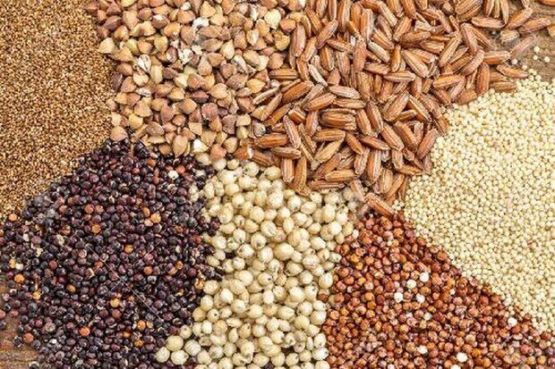 وزیر نفت و بحران مرغ ۲۰۰ هزارتومانی؛به جای ارز وعده تحویل می دهند!