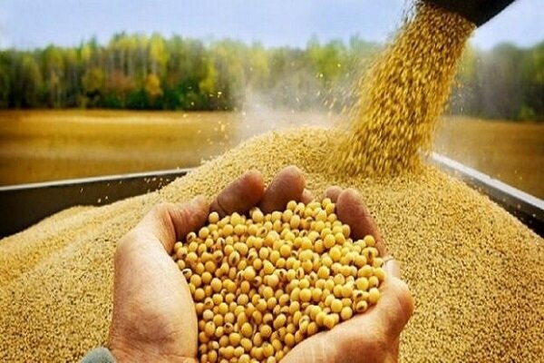 تاثیر بالاتر اختلال در نظم فعالیتهای ارزی در مقایسه با تحریم تاثیر بالاتر اختلال در نظم فعالیتهای ارزی در مقایسه با تحریم