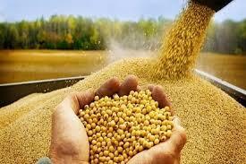 وزارت نفت نتوانست ارز واردات کالاهای اساسی را بپردازد/ ٢٠ فروند کشتی منتظر تخلیه هستند وزارت نفت نتوانست ارز واردات کالاهای اساسی را بپردازد/ ٢٠ فروند کشتی منتظر تخلیه هستند